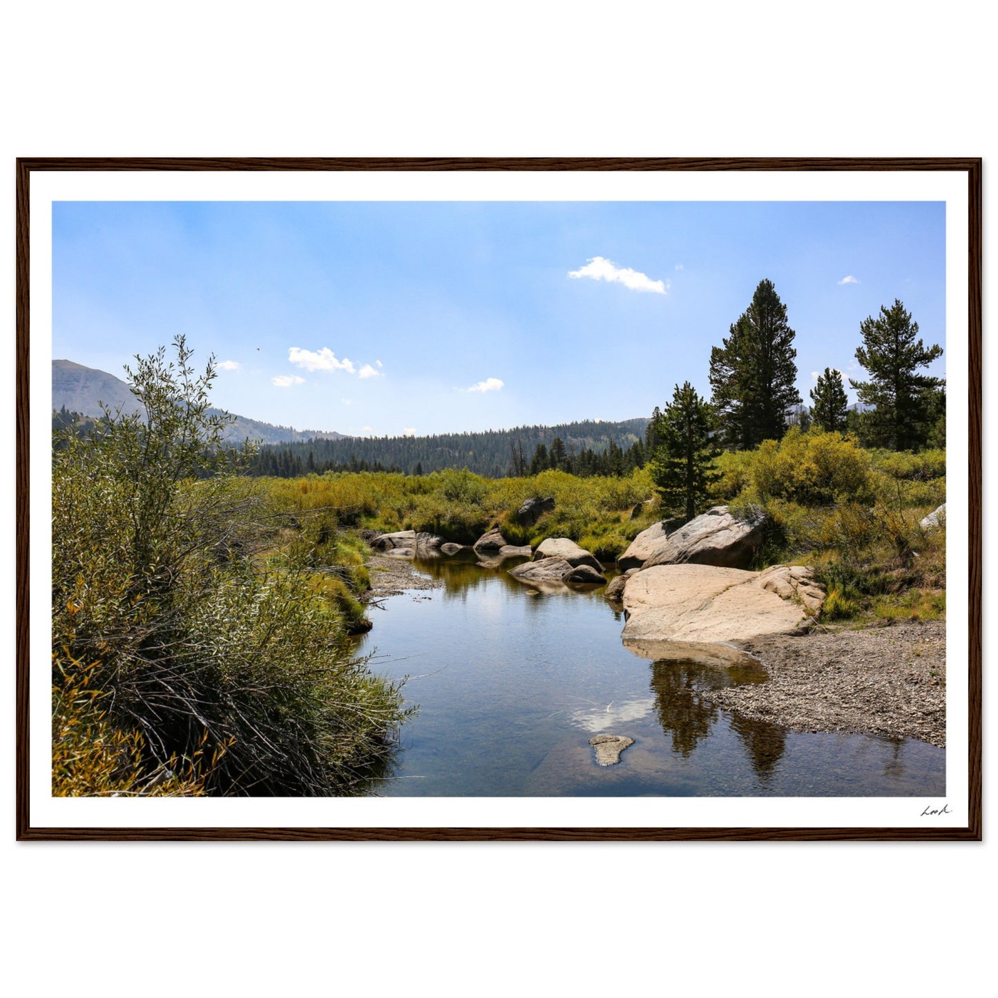 Toiyabe National Forest - Premium Matte Paper Wooden Framed Poster