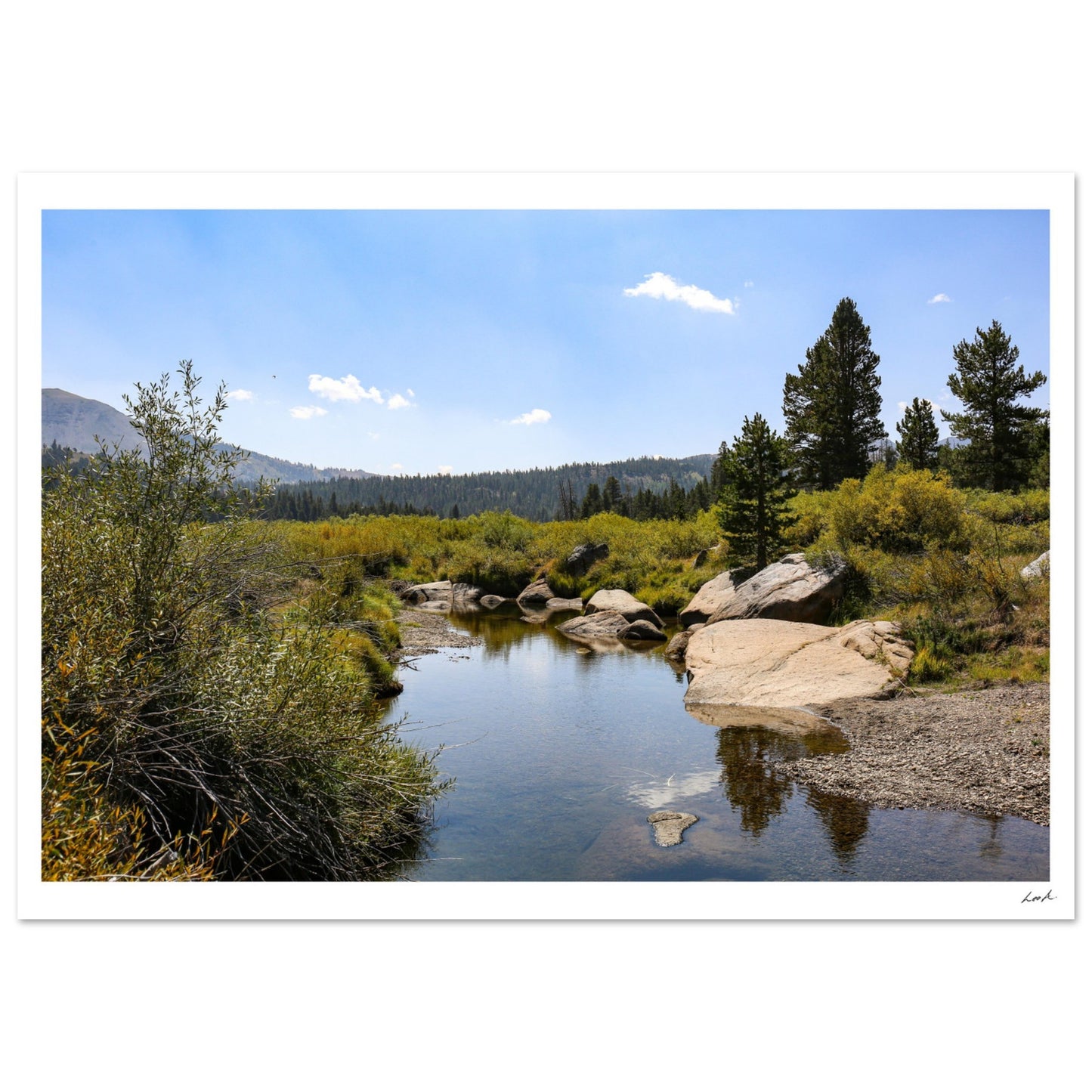 Toiyabe National Forest - Classic Matte Paper Poster