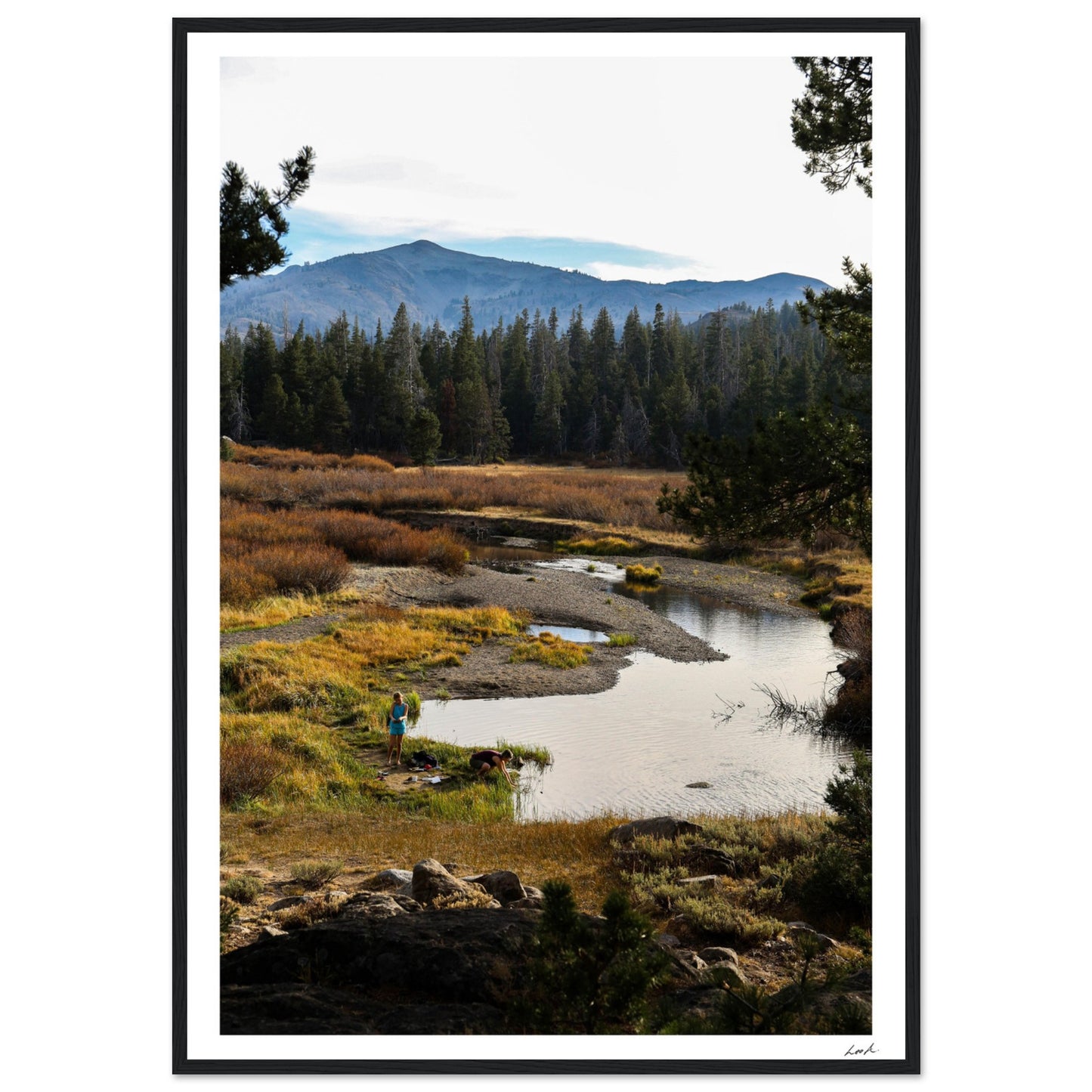 Toiyabe National Forest 3 - Premium Matte Paper Wooden Framed Poster