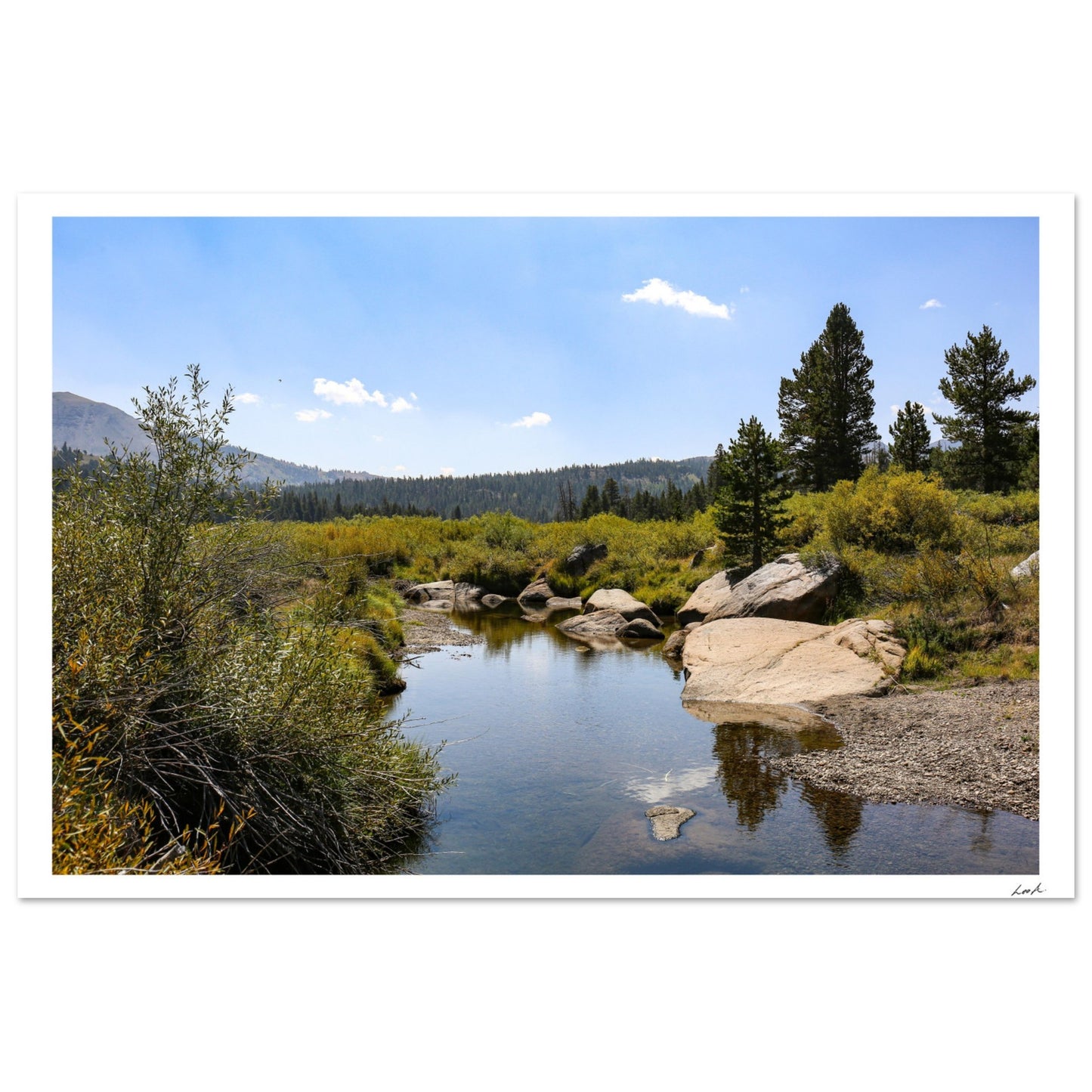 Toiyabe National Forest - Aluminum Print
