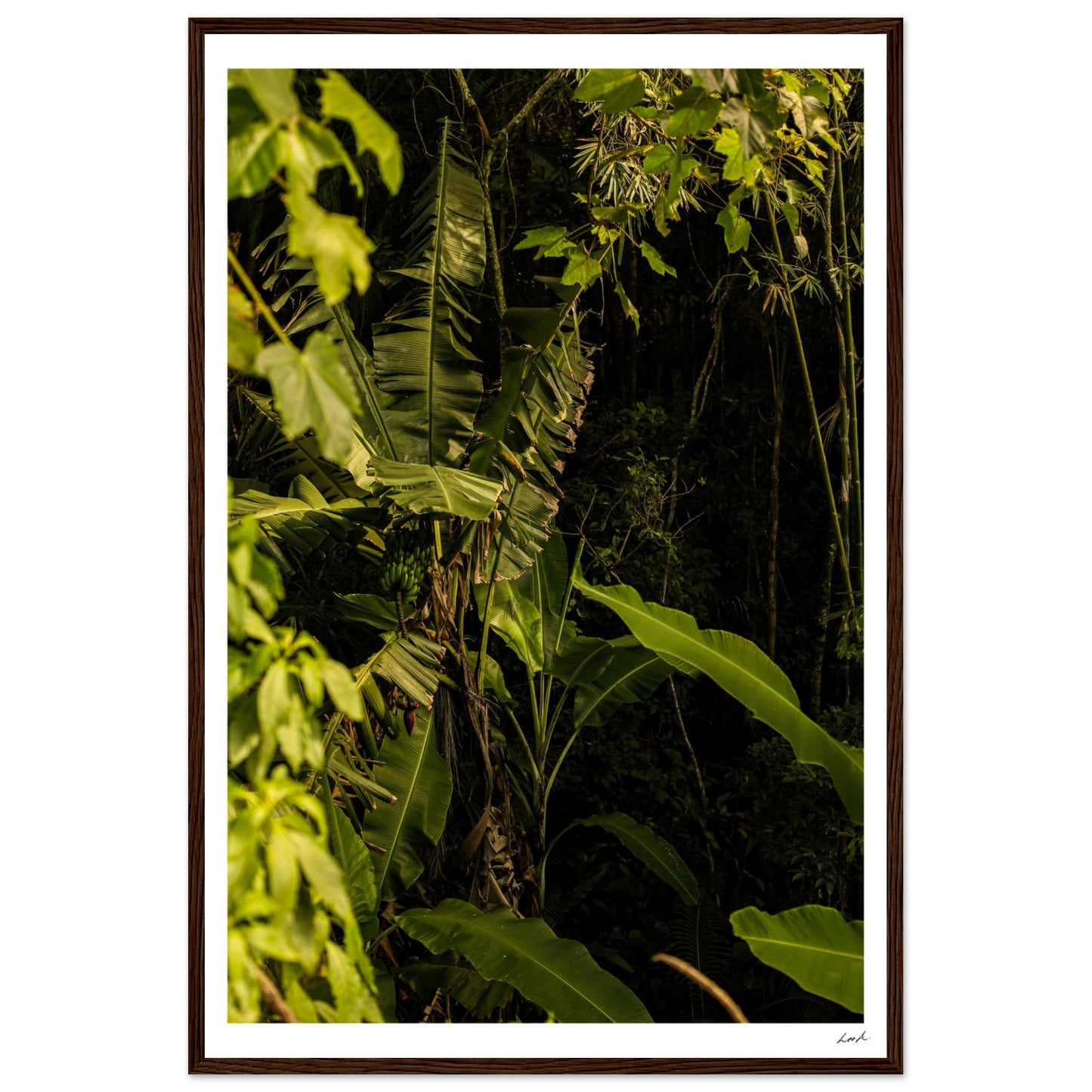 Rosa Norte Forest - Premium Matte Paper Wooden Framed Poster