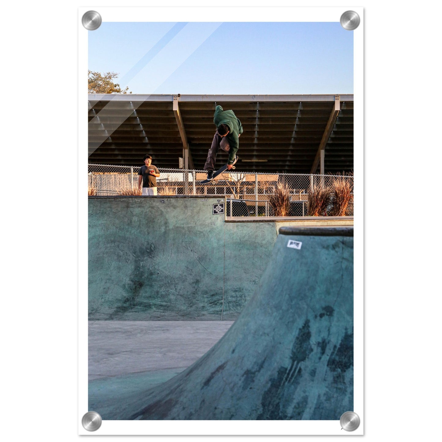 Indy Grab - Acrylic Print