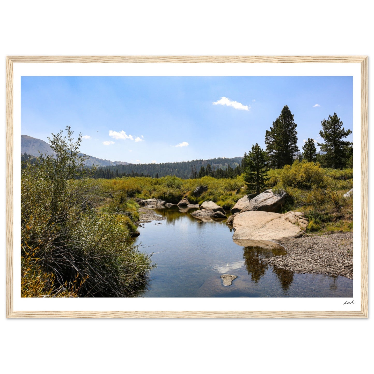 Toiyabe National Forest - Premium Matte Paper Wooden Framed Poster