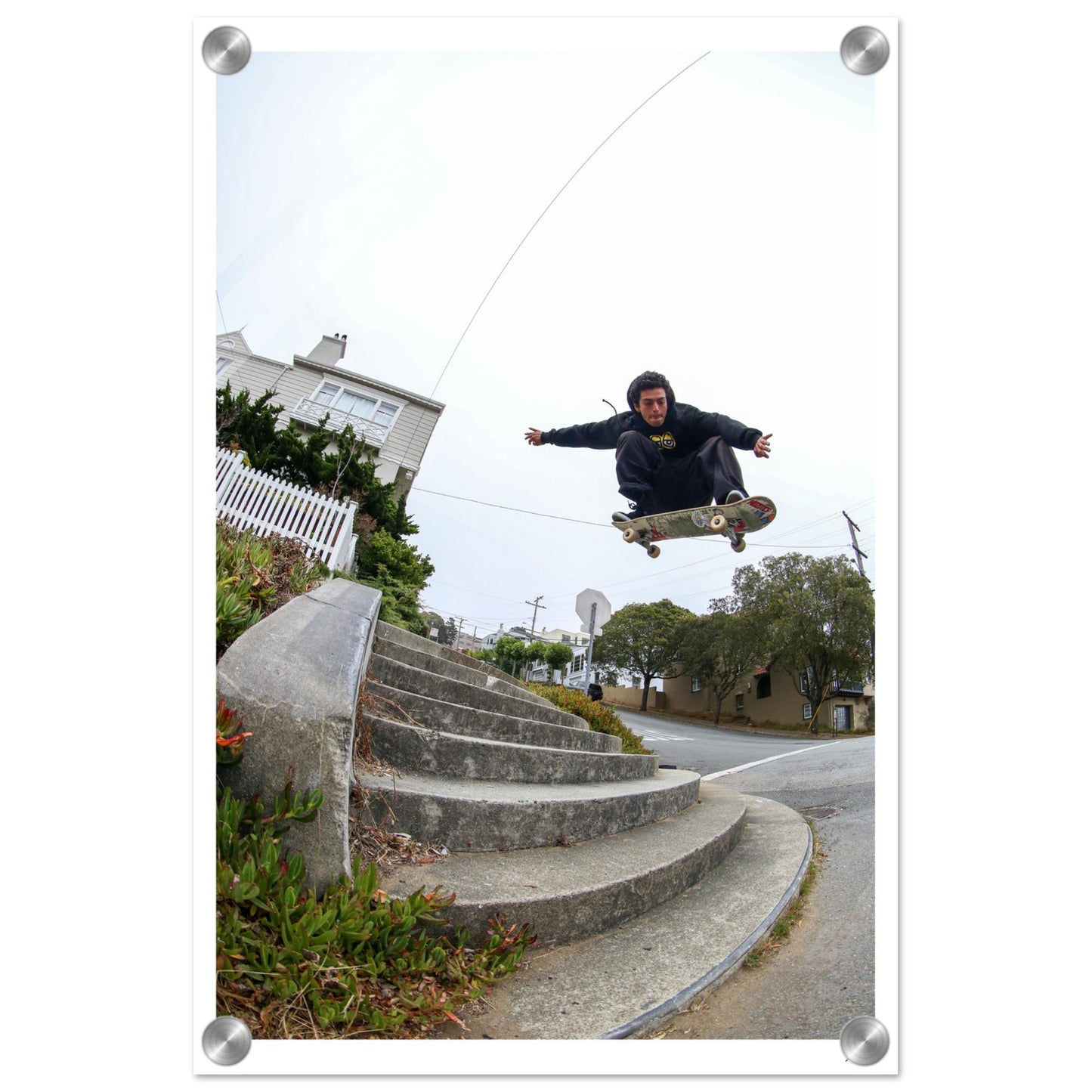 Ollie - Acrylic Print