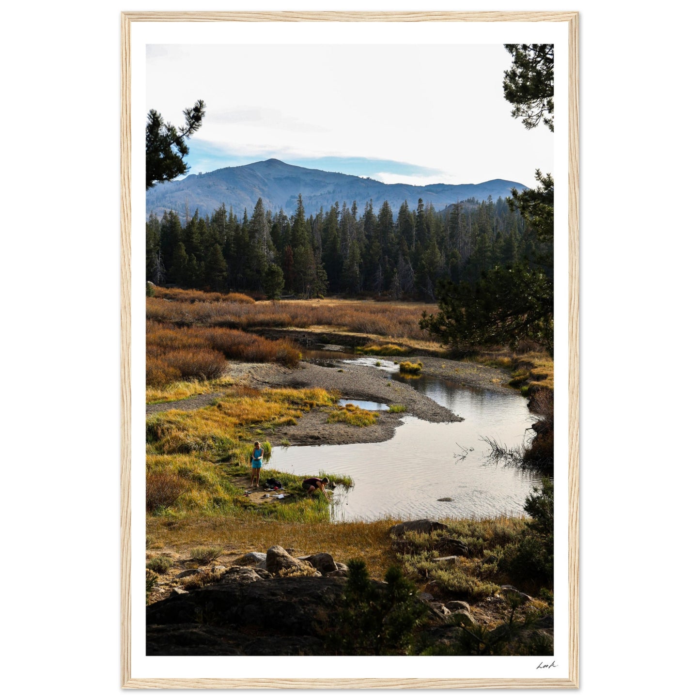 Toiyabe National Forest 3 - Premium Matte Paper Wooden Framed Poster
