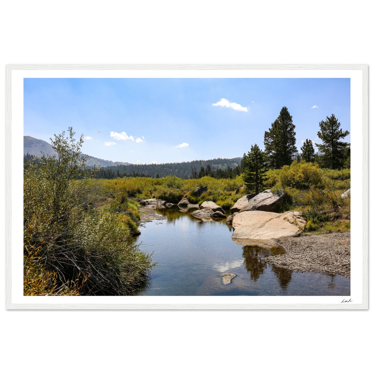 Toiyabe National Forest - Premium Matte Paper Wooden Framed Poster