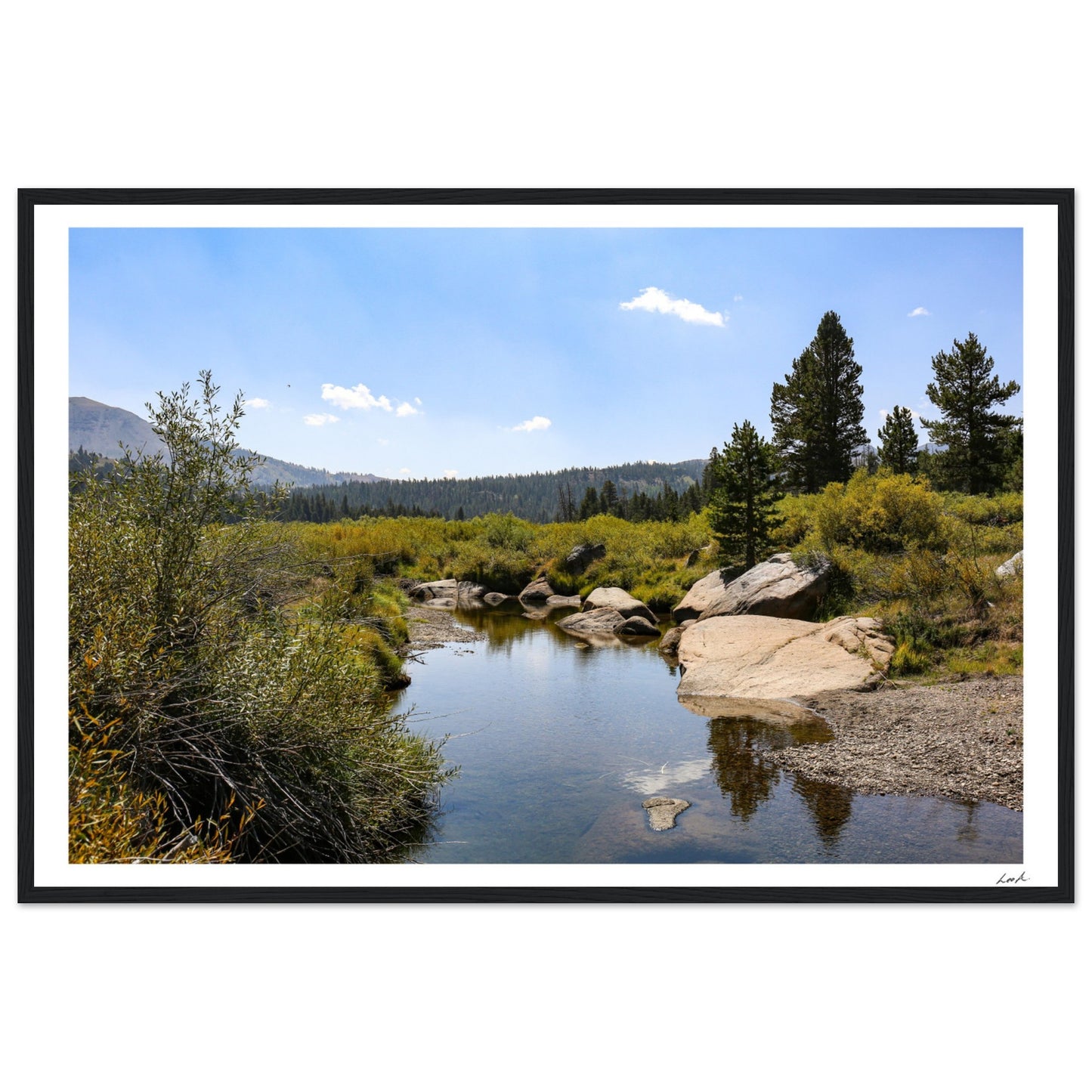 Toiyabe National Forest - Premium Matte Paper Wooden Framed Poster