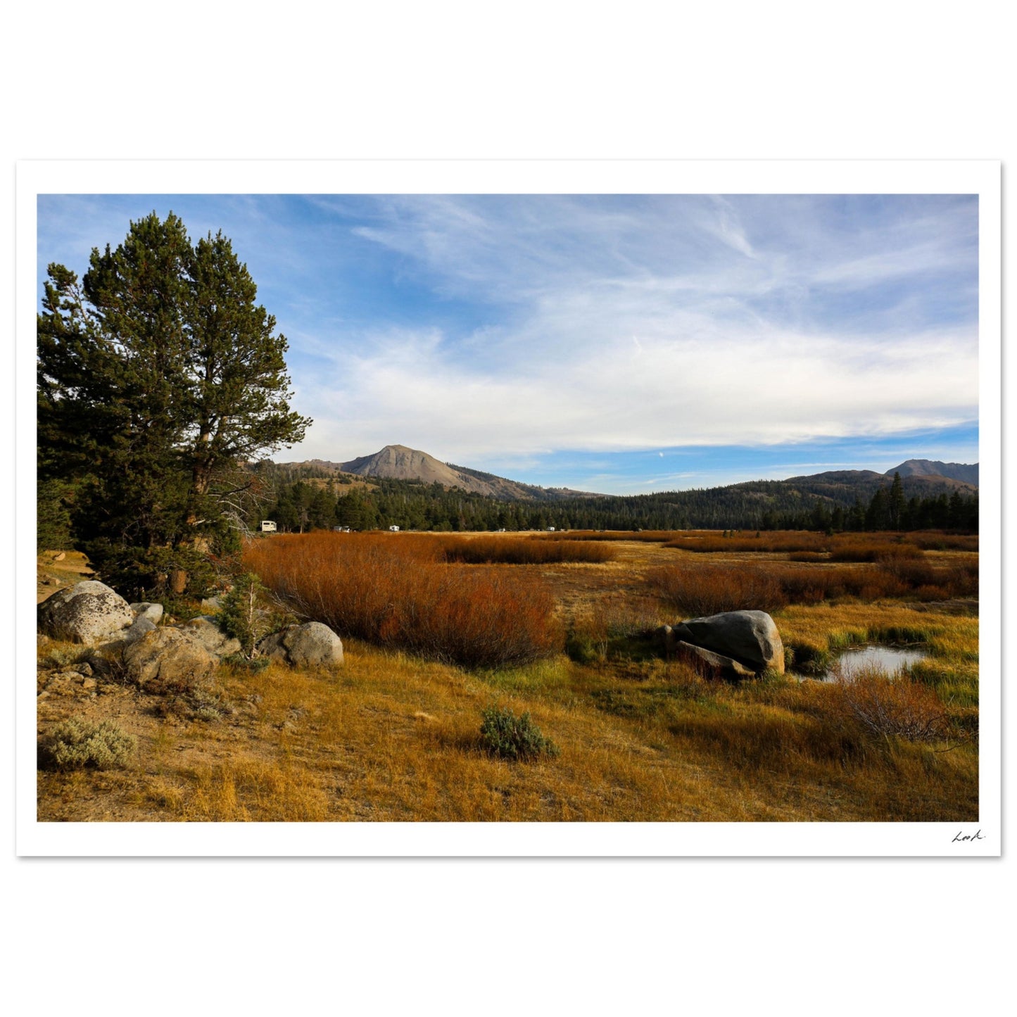 Toiyabe National Forest 2 - Classic Matte Paper Poster