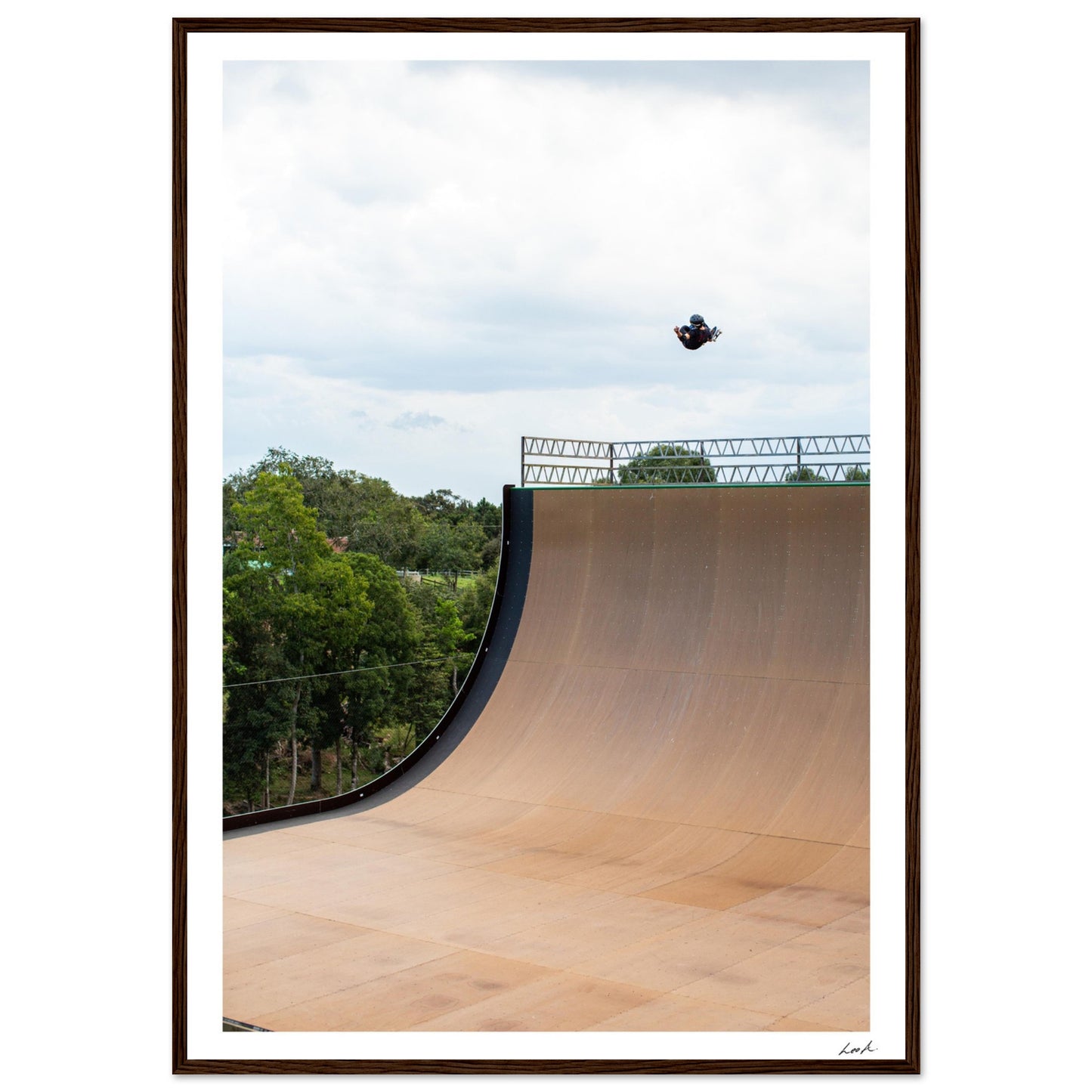 540 Mega - Premium Matte Paper Wooden Framed Poster