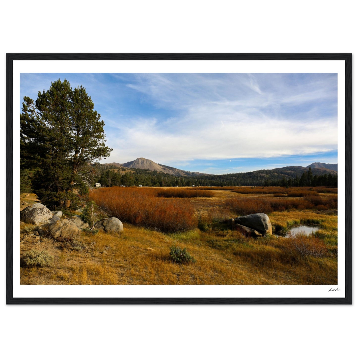 Toiyabe National Forest 2 - Premium Matte Paper Wooden Framed Poster