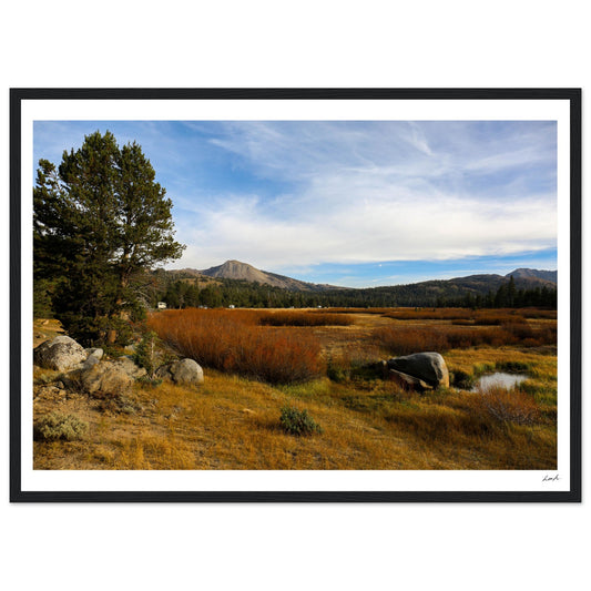 Toiyabe National Forest 2 - Premium Matte Paper Wooden Framed Poster