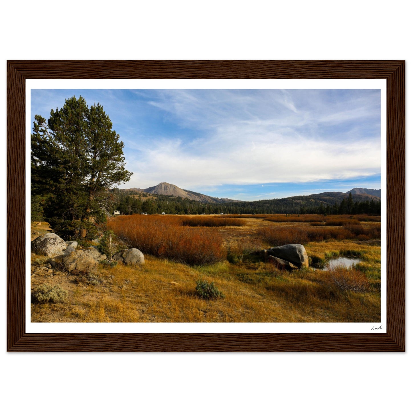 Toiyabe National Forest 2 - Premium Matte Paper Wooden Framed Poster