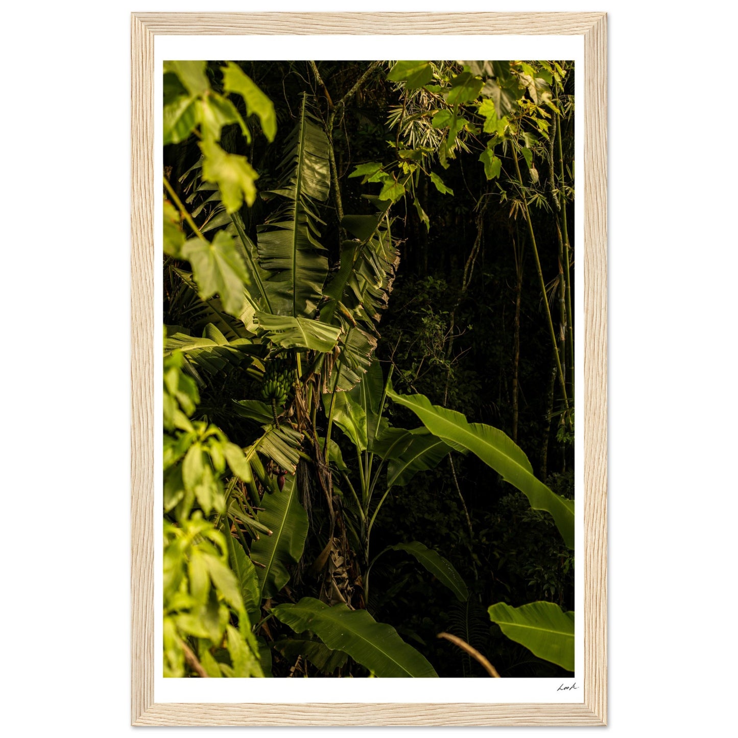 Rosa Norte Forest - Premium Matte Paper Wooden Framed Poster