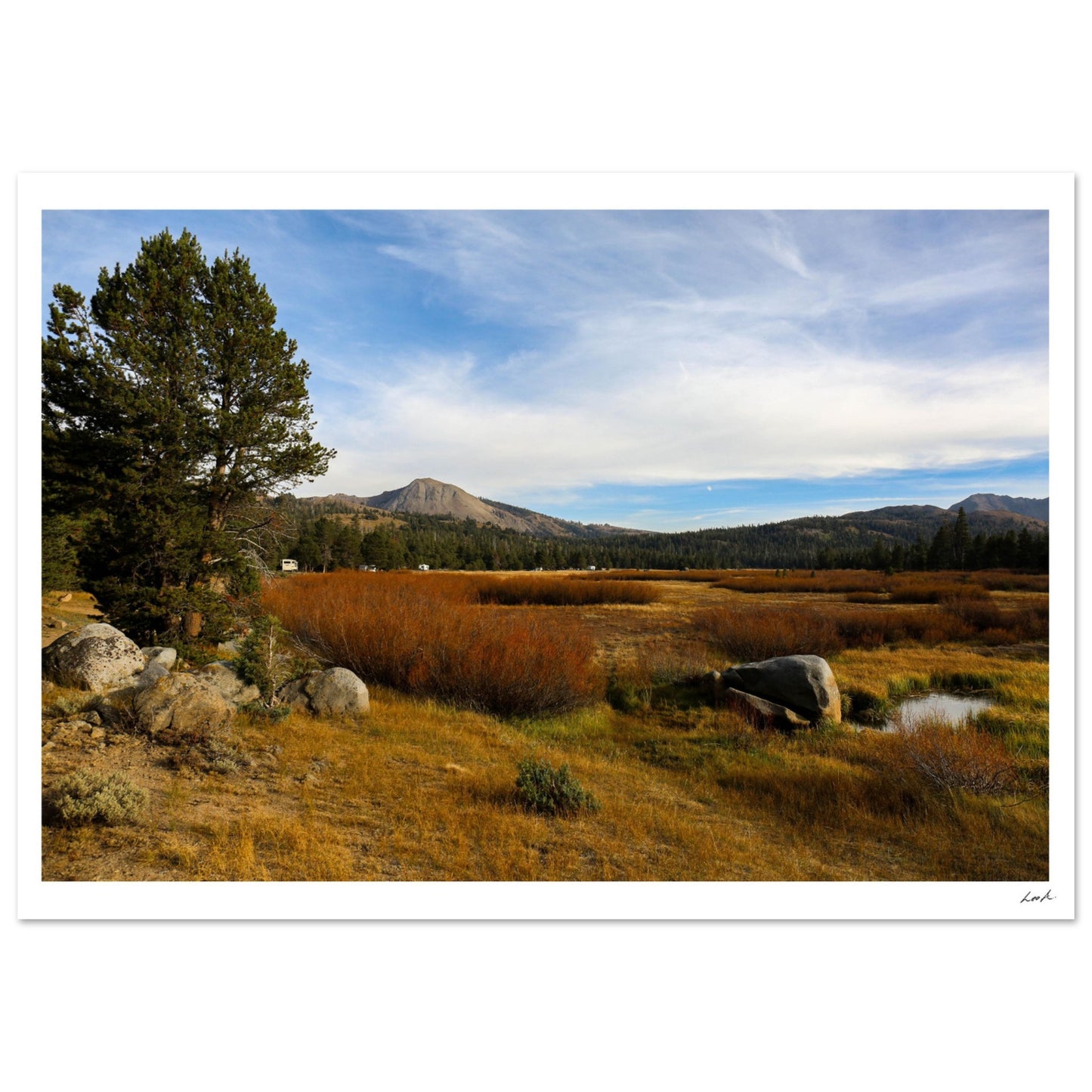 Toiyabe National Forest 2 - Premium Semi-Glossy Paper Poster