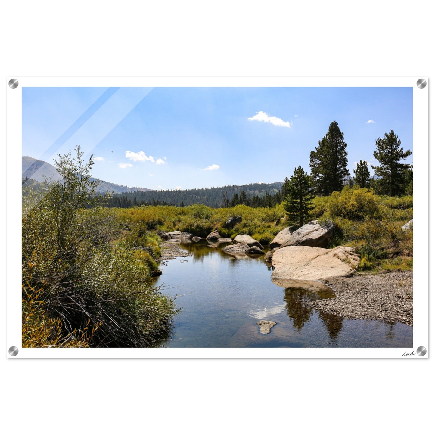 Toiyabe National Forest - Acrylic Print