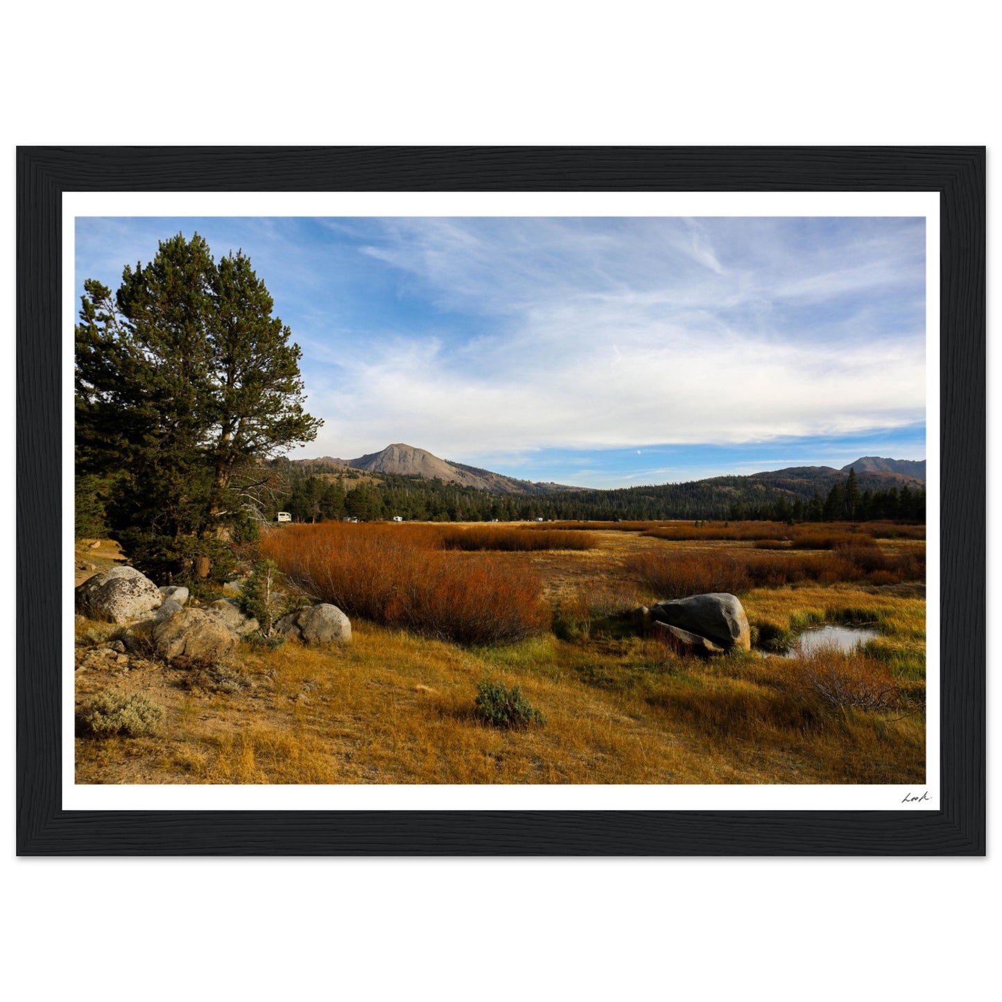 Toiyabe National Forest 2 - Premium Matte Paper Wooden Framed Poster