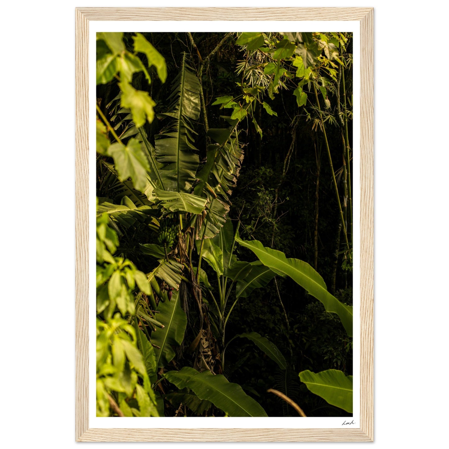 Rosa Norte Forest - Premium Matte Paper Wooden Framed Poster