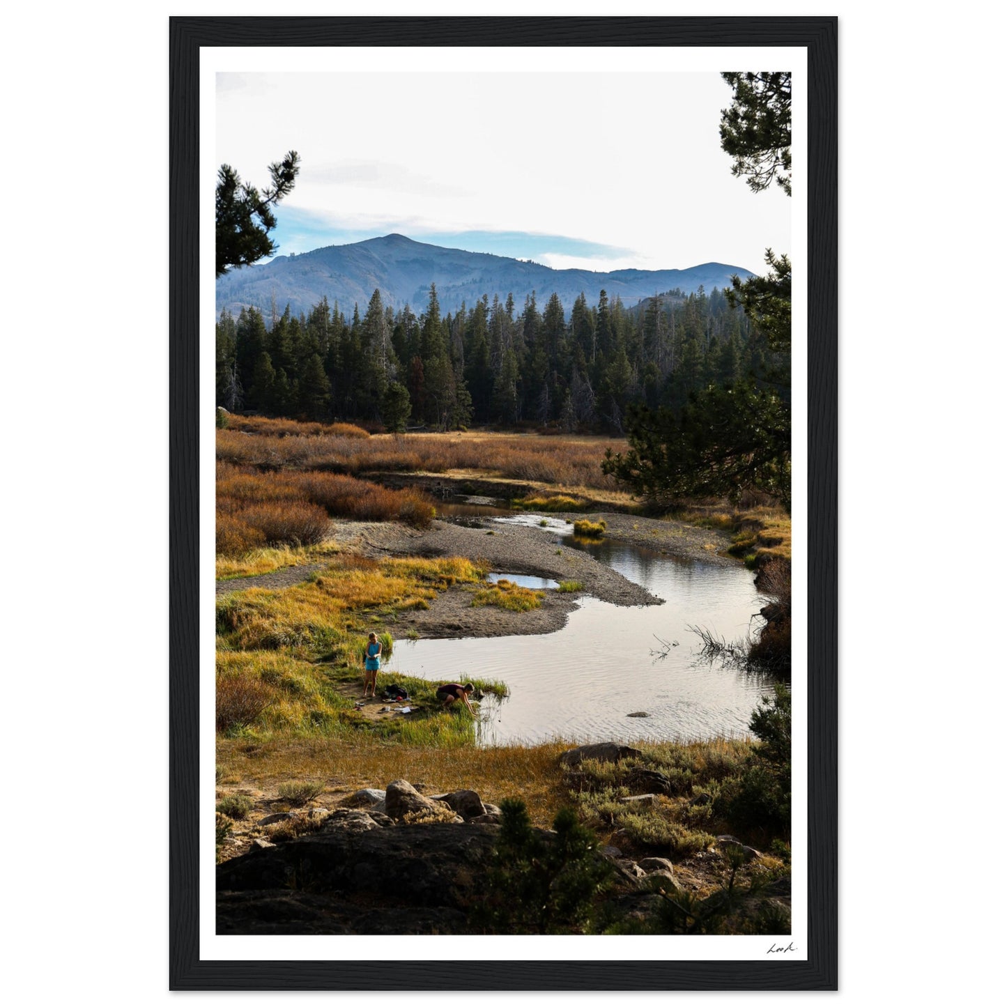 Toiyabe National Forest 3 - Premium Matte Paper Wooden Framed Poster
