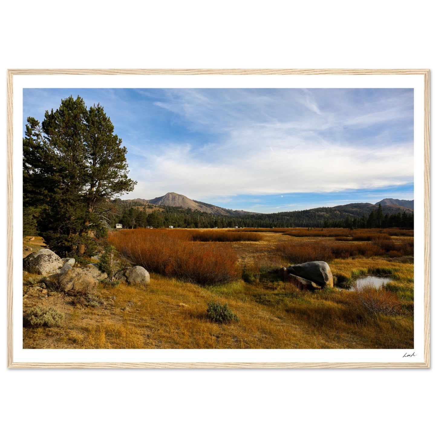 Toiyabe National Forest 2 - Premium Matte Paper Wooden Framed Poster